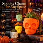 Spooky Charm for Any Space lifestyle image showing Halloween skull planters and suggested uses